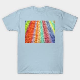 texured rainbow T-Shirt